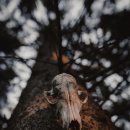 아이원세탁소 이미지