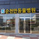 온누리동물병원 이미지