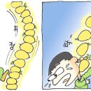 신명공사 Daum카페