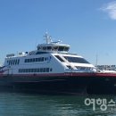 바다와소나무 이미지