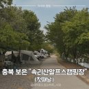 속리산알프스야영장 | 충북 보은 속리산알프스 캠핑장 - 아이와 캠핑 첫날 솔직 후기 #1