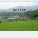 천곡 마을회관 Daum카페
