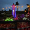 너와 바람개비 이미지