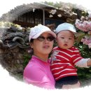 용현자연휴양림 이미지