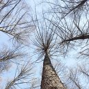 【가리산(加里山, 1,051m)】「곡식이나 땔나무를 쌓아둔 큰 더미인 '가리'」 이미지