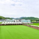 레오나르독 이미지