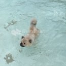 의왕 에이스 하이테크 비전 21 1F 우렁각시 구내식당 인테리어 시공후기