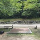 금산산림문화타운캠핑장 이미지