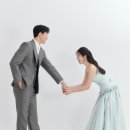 세호테일러