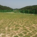 장성침촌지구근린공원 이미지