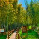 9월4일(목)경남 진주 가좌산(220m) 망진산(179m) 이어지는 진주 에나길 트레킹 및 진주성 관광예약 이미지