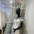 더폴라리스 이미지