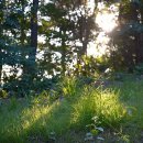 해를여는펜션 이미지