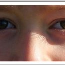 새봄안경콘택트 이미지