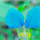 동현세탁소 이미지