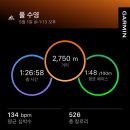 월곡체육관(태권도) | 성북종합레포츠타운 맑은물수영장 공휴일 자유수영 후기