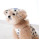 펫갤러리 이미지