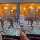 용감한식당 이미지