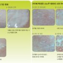 미앤미스킨케어 - 천안시 동남구 신부1길 10 | 미앤미스킨케어