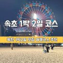 피짜라짜 | 꽉찬 1박 2일 속초여행코스 추천 (이대로만 먹고 다니면 여행성공!)
