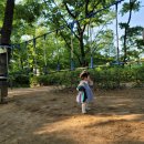 모담산 유아숲체험원 이미지