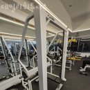 데일리 휘트니스 이미지