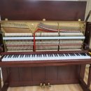 진해신항초등학교 이미지