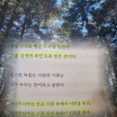 아주 보통의 행복 책 | 최인철 책 후기 | 제대로 망해 본 그 친구의 피 땀 눈물 추천 리뷰 핵심 요약