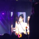 시카고라이브 | [신혼대작전] 시카고 롤라팔루자 2025 후기