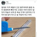 신장투석용 바늘 굵기 이미지