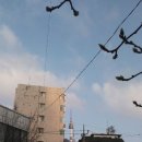 이우중학교 이미지