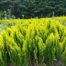 오성농원 이미지