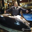 참치한마리 - 송파구 백제고분로48길 29 | 참치한마리