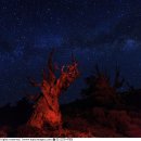 더화이트C 이미지