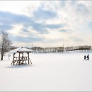 서린농장 이미지