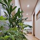 월배로 97길 이미지