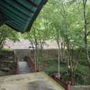 일월주유소 이미지