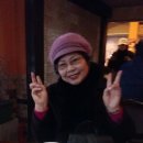 홍다방 Daum카페