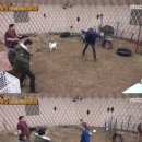 유연목장 이미지