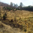 합성동102 이미지