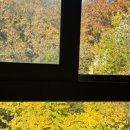 목동현대요양병원 | 장간막림프절염, 위막성 대장염 걸린 성인의 입원 후기 (파트 1)