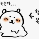 상상애드 | [애드포스트 승인 D+1일차] 준최2단계의 집착 쩔었던(?) 애드포스트 등록 후기 및 내 승인 조건