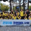 크린데이 이미지