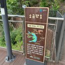 조동리 알프스 | 강원도여행 4. 조동리알프스, 원주 소금산 그랜드밸리, 오가네 막국수