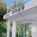 로라살롱 - 포항시 남구 | 로라살롱