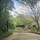 회현초등학교 이미지