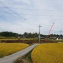 춘포면-05 이미지