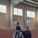 정철희 국제승마센터 이미지