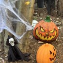 새쟁이마을 경로당 | 10월 말 시드니 여행기(2)_블루마운틴 투어, 바토티 후기