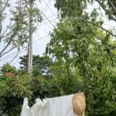 강동로6-10 이미지